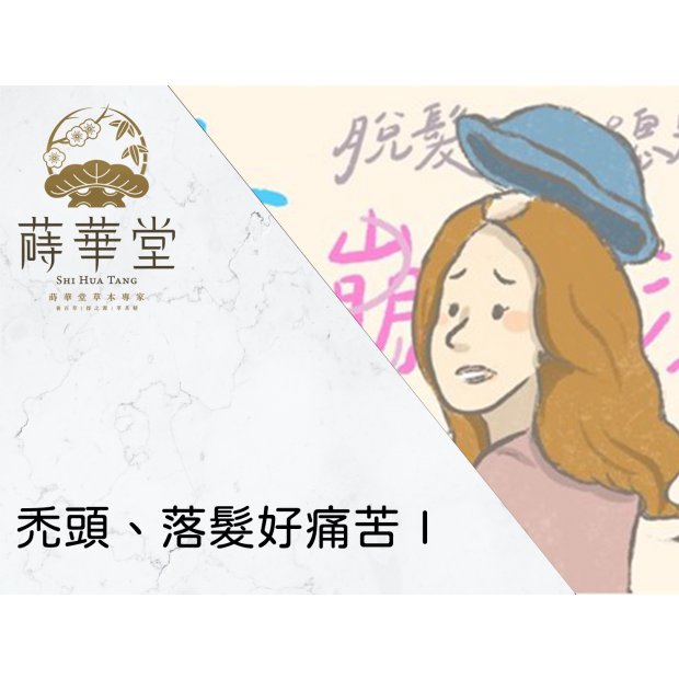 禿頭、落髮好痛苦Ⅰ.png 禿頭、落髮好痛苦Ⅰ.png