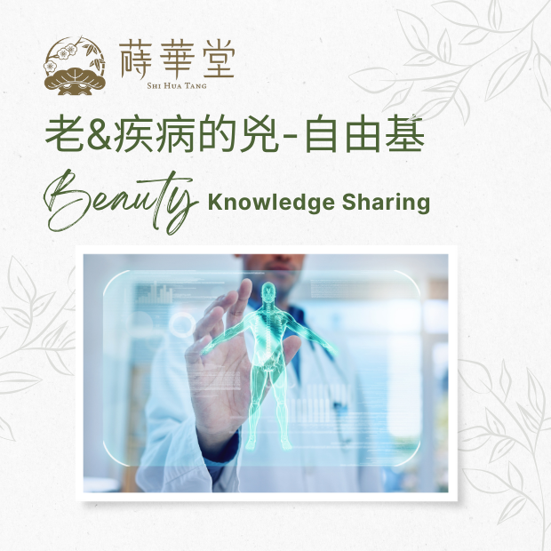 美妝分享1.png 美妝分享1.png