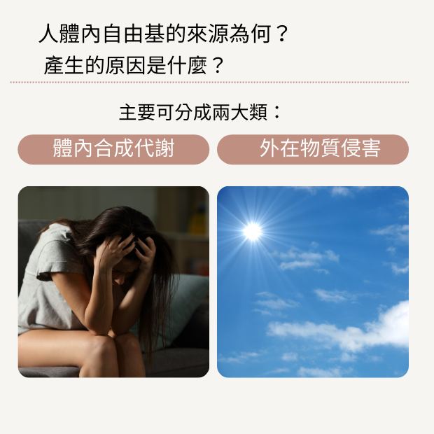 自由基.png 自由基.png