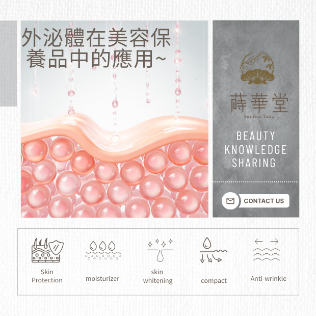 甚麼是外泌體.png 甚麼是外泌體.png